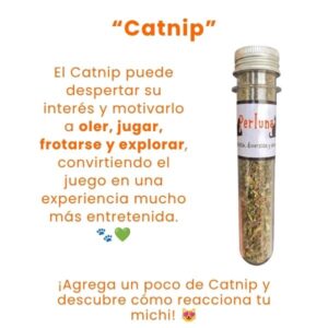 Catnip