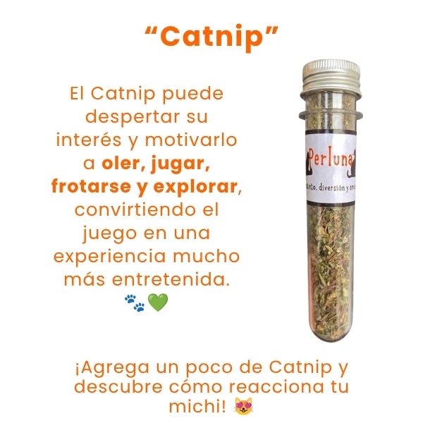 Catnip